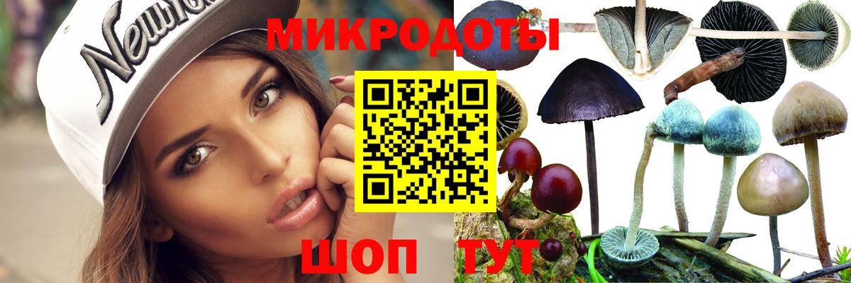 Галлюциногенные грибы GOLDEN TEACHER  Вход с VPN  Пугачёв 